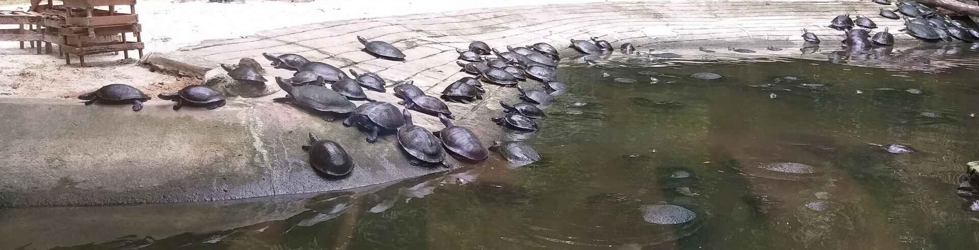 parcs animaliers spécialises