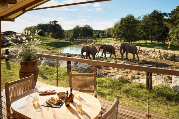 thoiry zoo safari