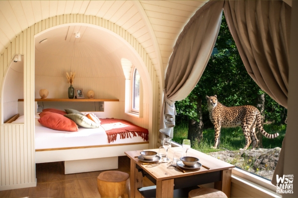 safari de peaugres