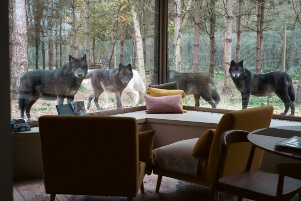 legendia parc