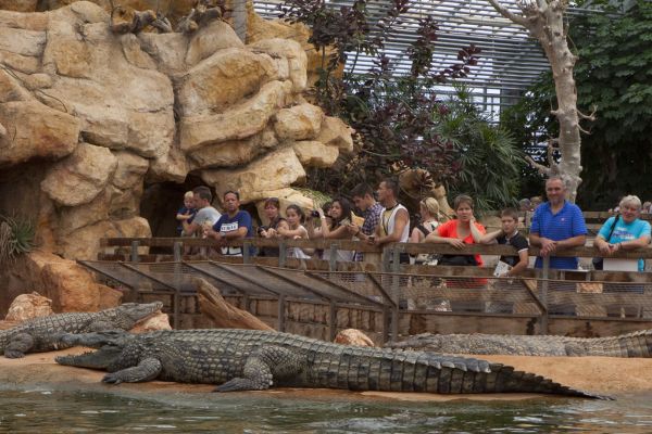 la ferme aux crocodiles