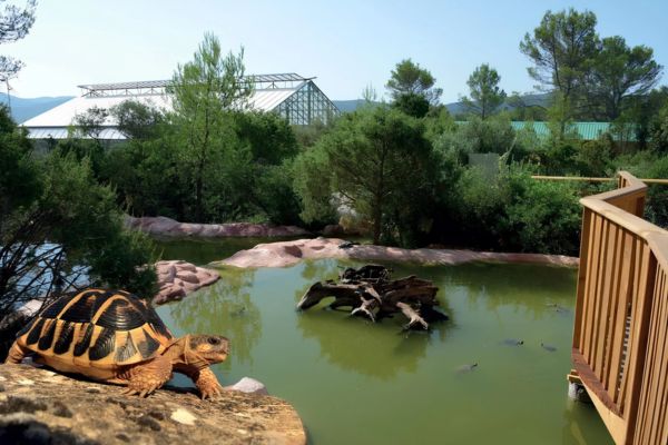 le village des tortues