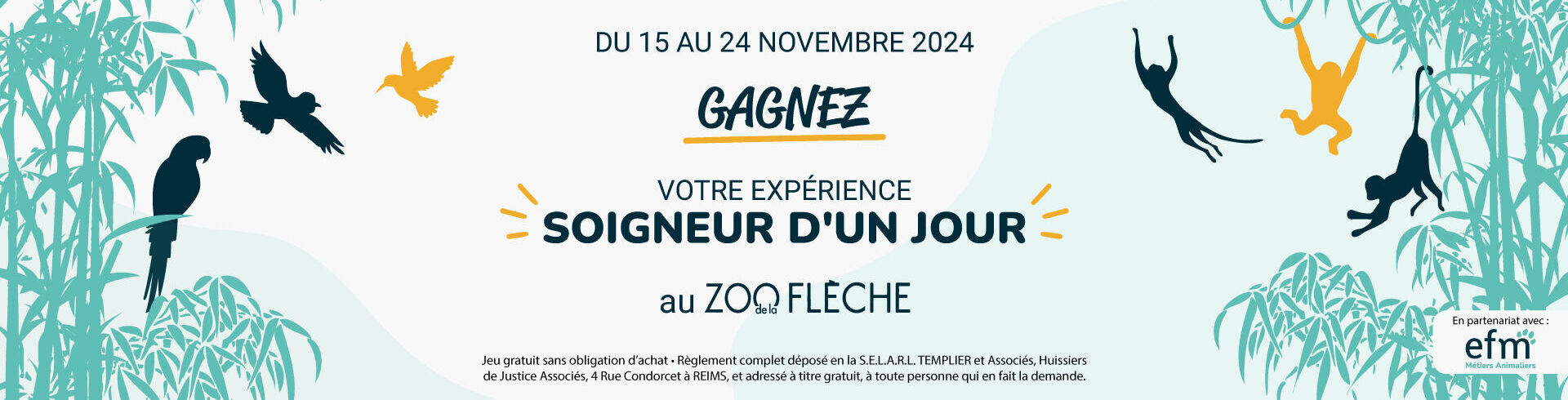 soigneur d'un jour au zoo de la flèche