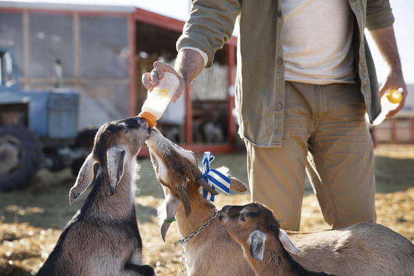 soigneur animalier en belgique