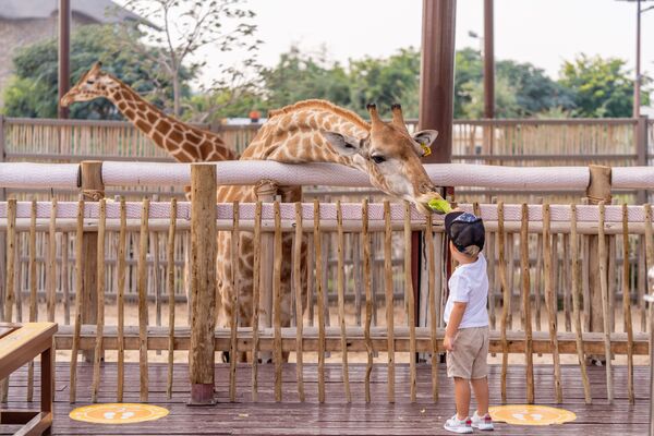 zoo europe