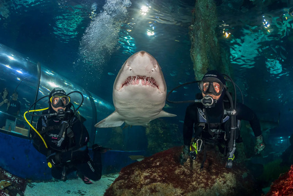 aquarium de barcelone