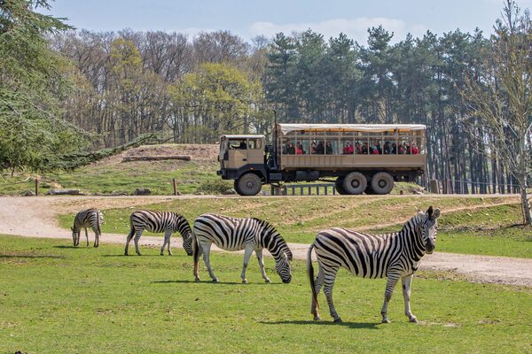 zoo de thoiry