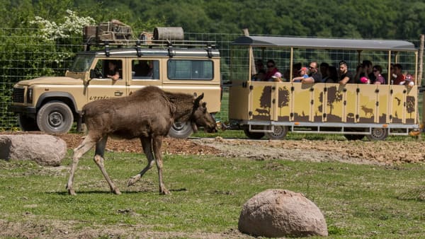 parc safari sainte croix