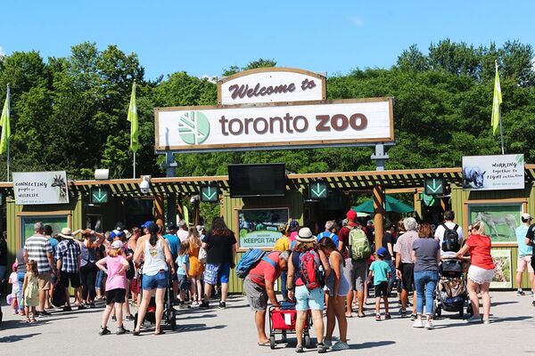 zoo de toronto