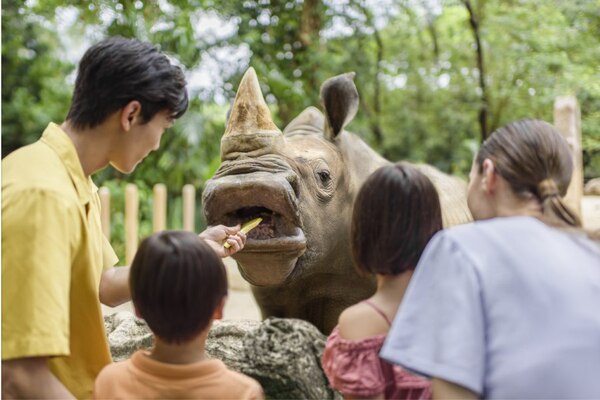 zoo singapour