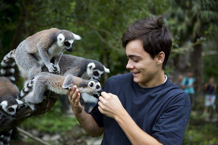 soigneur animalier zoo beauval