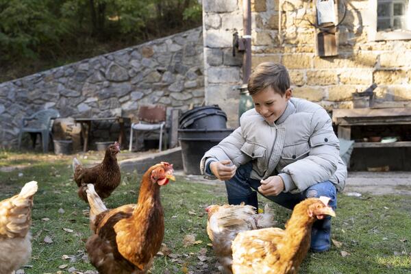 ferme pedagogique animaux