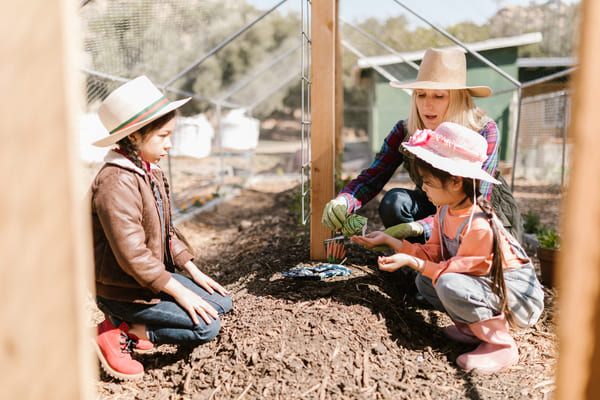 ferme pedagogique activit